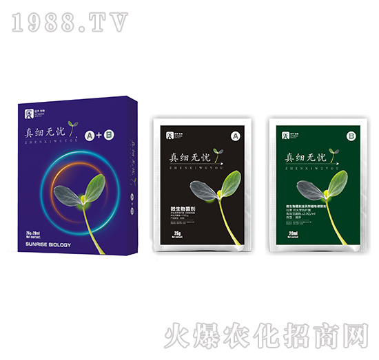 ΢�������-�漚(x��)�o(w��)�nA+B-��������