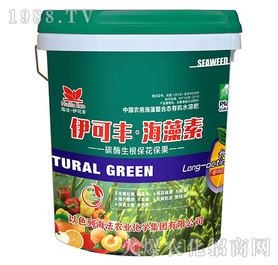 ̼ø������������-�����S��������-����