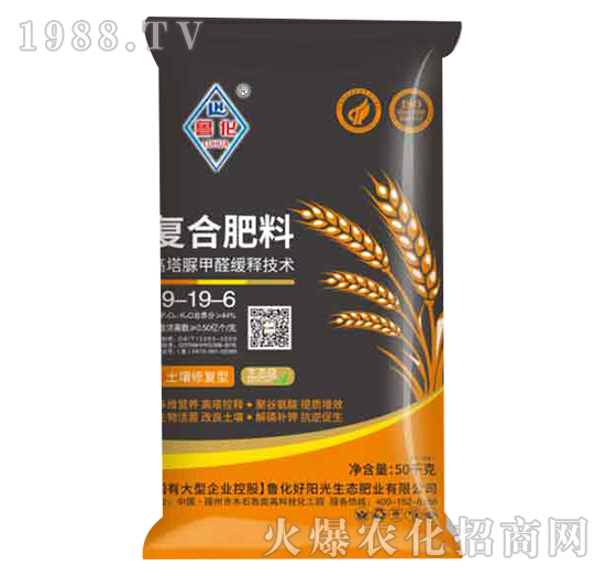 ��(f��)�Ϸ���19-19-6-����