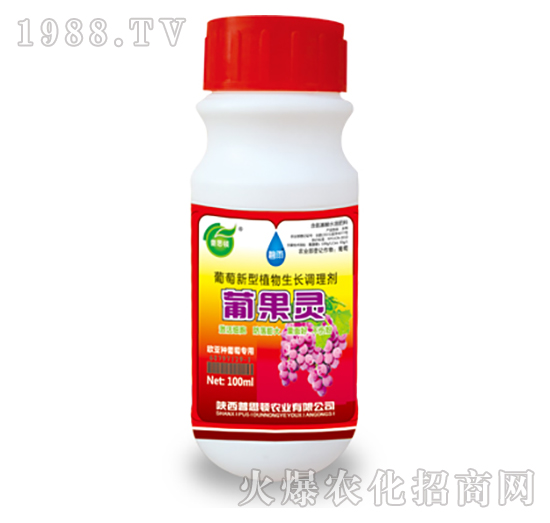 ��������ֲ�����L�{�턩-�Ϲ��`-��˼�D�r�I(y��)