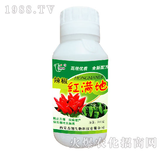 �����t�M��-��������