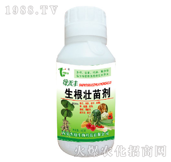 �������焩-�G���S-��������