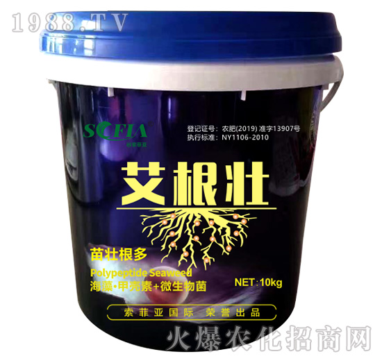 �����ѣ�Ͱ��-���Ɓ�