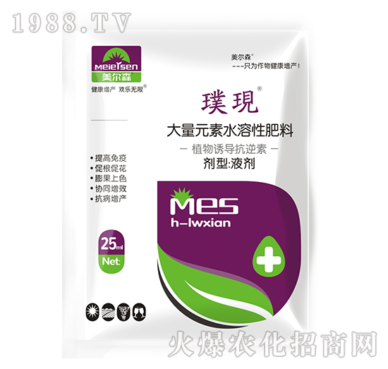 ֲ���T��������-豬F(xi��n)-����ɭ