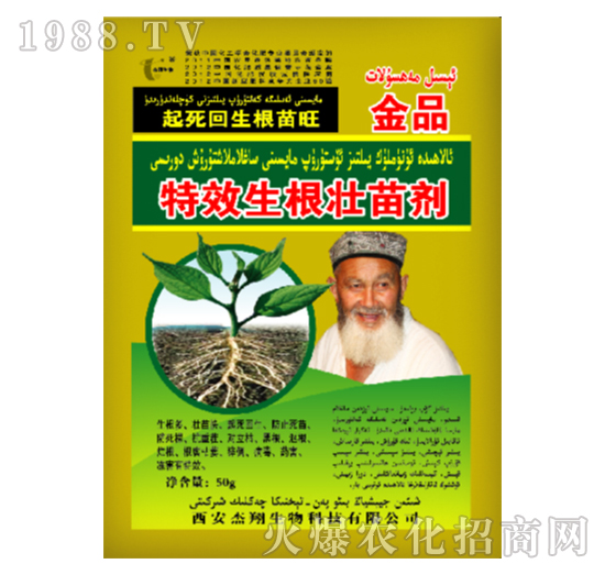 �������焩-��������