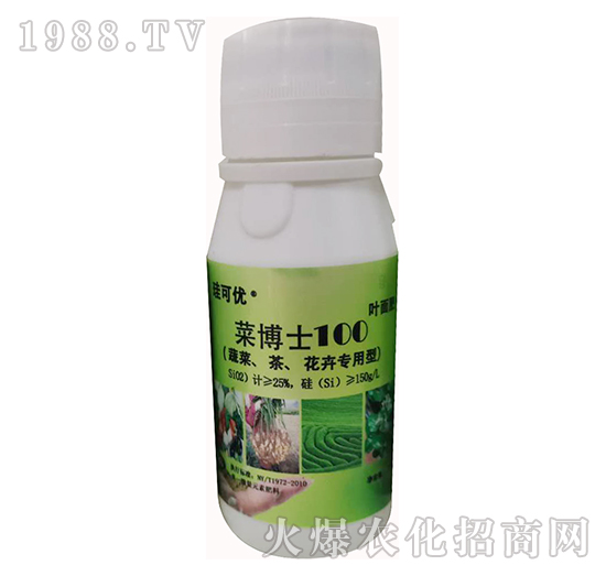 �˲�ʿ100���߲����������܌��ã�-���Ƀ�(y��u)-��Ɔ���