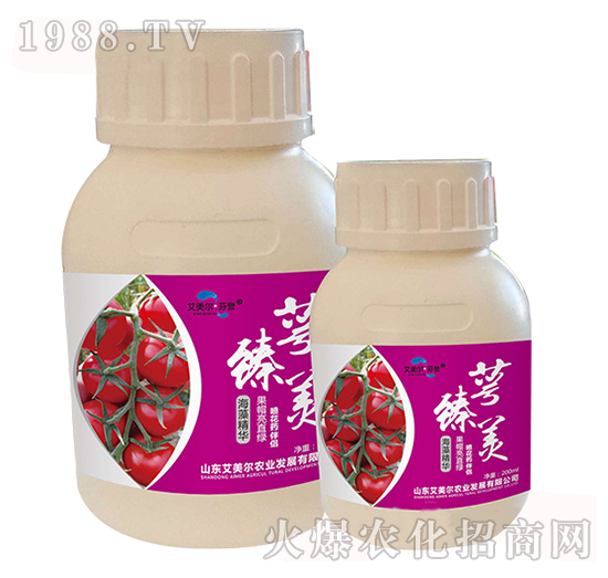 ���徫�A-������-�����������u(y��)-������