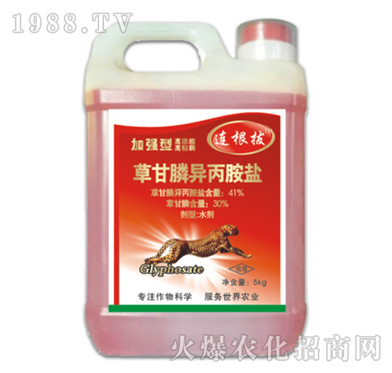 41%�ݸ�좮������}���ӏ��ͣ�-�B����-�ݵ�˹