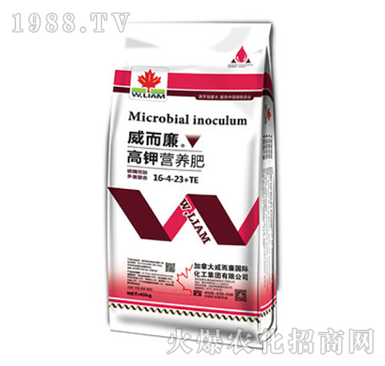 ��⛠I(y��ng)�B(y��ng)��16-4-23+TE-������