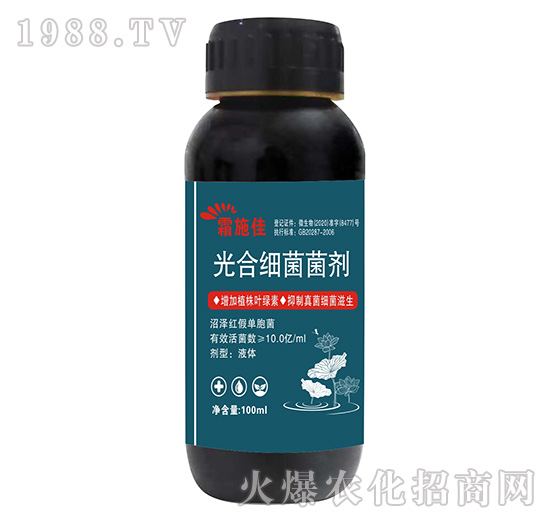 ��ϼ�������-˪ʩ��-����