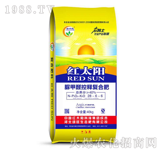 ���ȩ��ጏ�(f��)�Ϸ�28-6-6-�t̫�(y��ng)-�G��