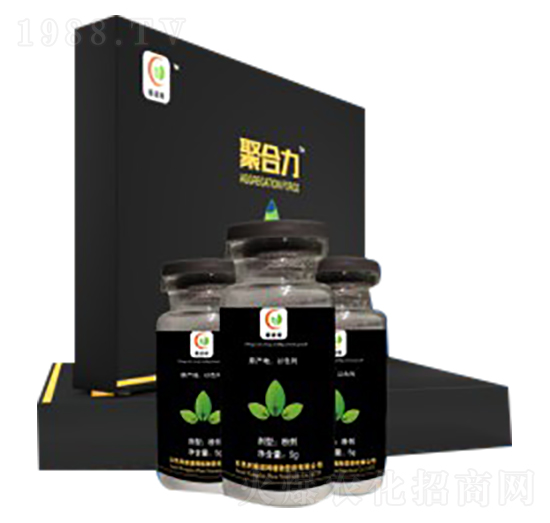 �ۺ���-����ķ