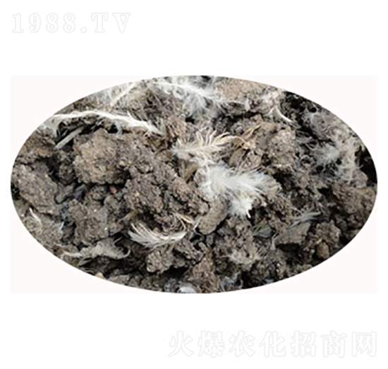 ʯ���f����u�S-���S����