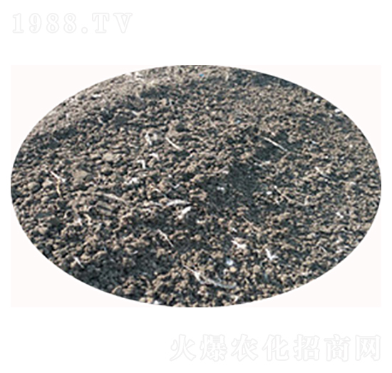 �u�S�ЙC(j��)�ʏS��-���S����