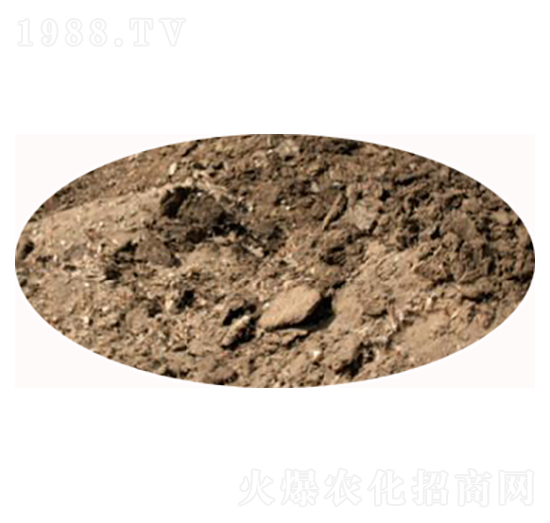 ���u�S�ЙC��-���S����