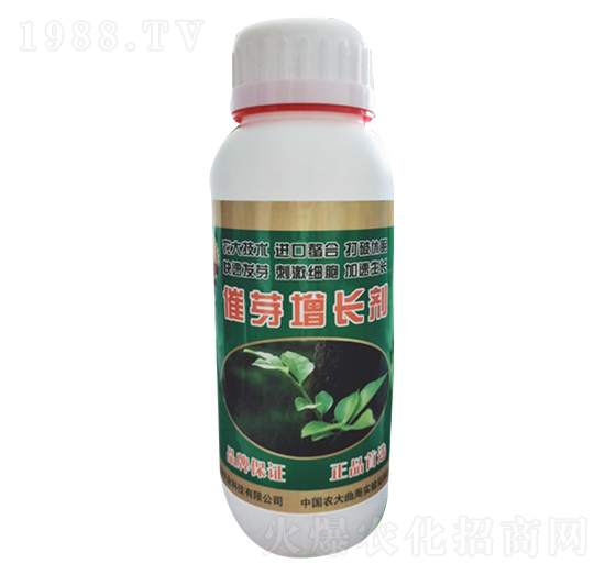 ��ѿ���L��-����-�r�־G