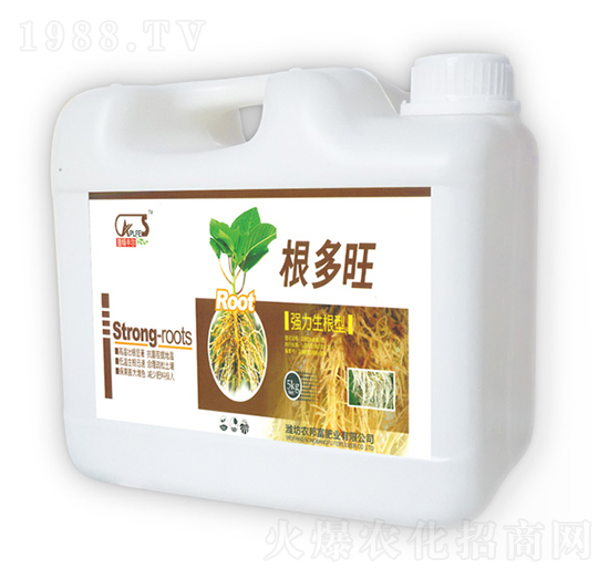 ��(qi��ng)��������-������-�r(n��ng)�