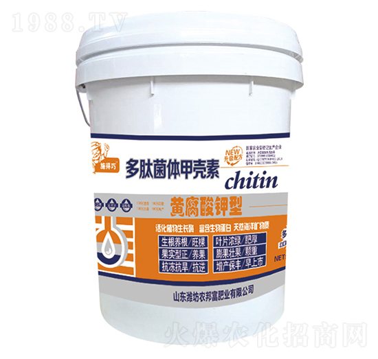 �S������Ͷ��ľ��w�ך���-�r(n��ng)�