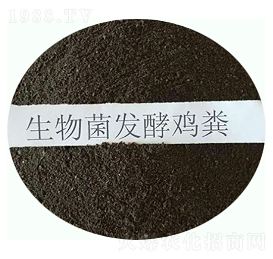 ������l(f��)���u�S-���|�ʘI(y��)