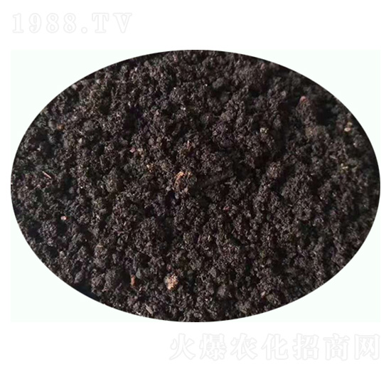 �l(f��)���u�S�ЙC��-���|�ʘI(y��)