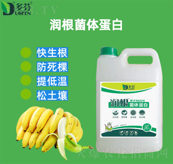 �������w����-����r(n��ng)�I(y��)