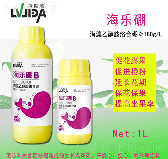 ����(l��)��-������