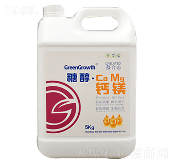 �Ǵ��}�V-��֮��