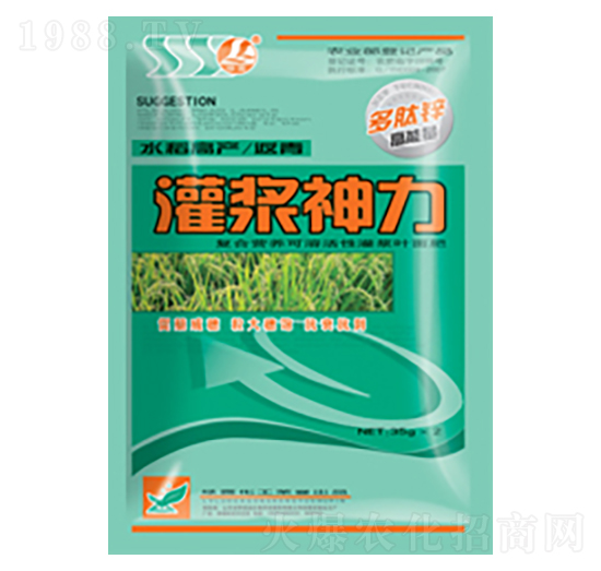 ���{����-�G¶����