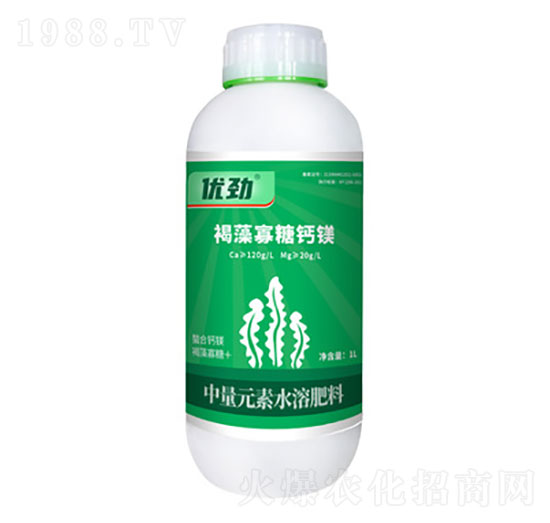 ��������}�V-��(y��u)��-����