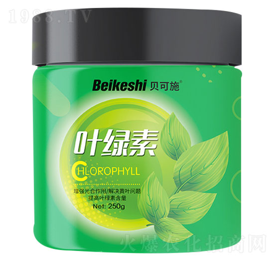 �~�G��-ؐ��ʩ-�r(n��ng)������