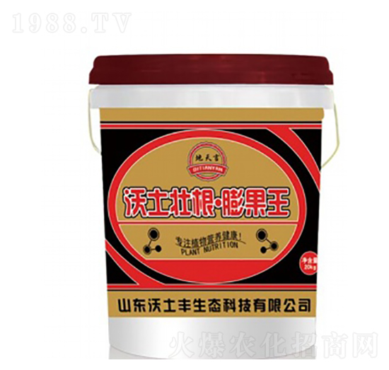 �����Ѹ��������-�����S