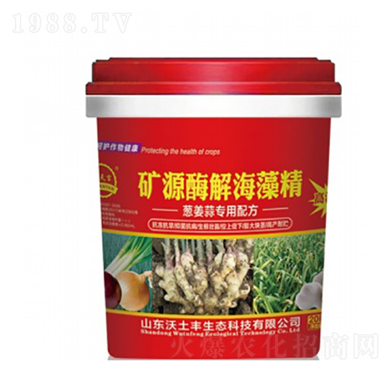 �VԴø�⺣�徫-�����S