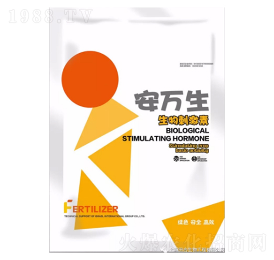 ����̼���-���f��-�������