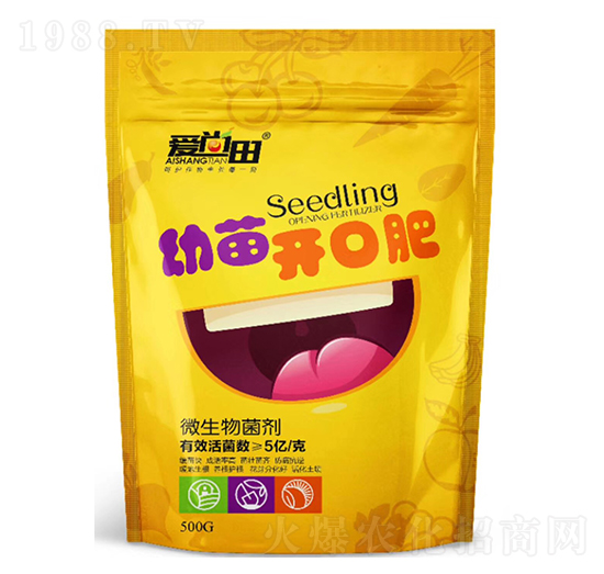 �����������_�ڷ�-�������