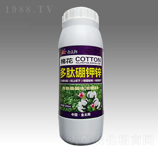 �޻���������\-�������