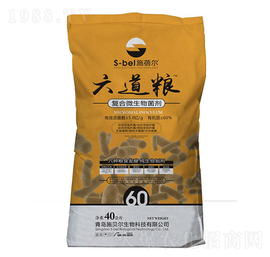 ��(f��)��΢�������-�����Z-ʩ����