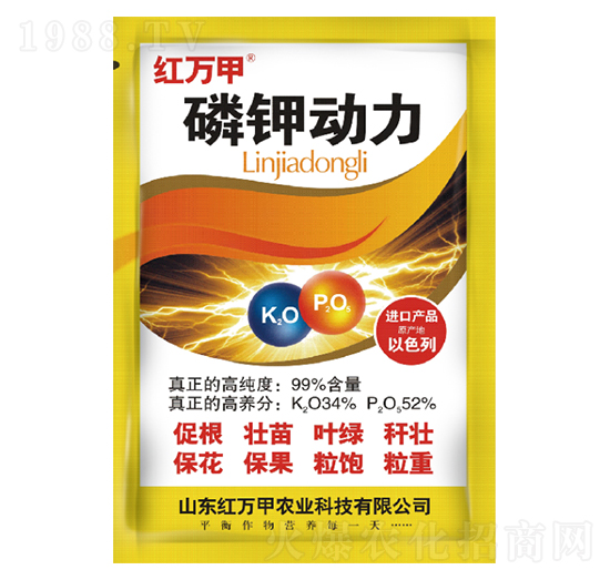 ��⛄���-�t�f��