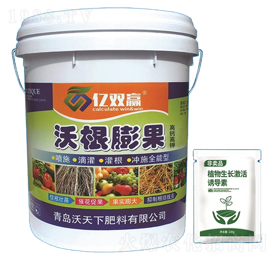 �ָ����-�|�p�A-������