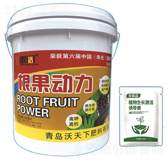 ��������-������