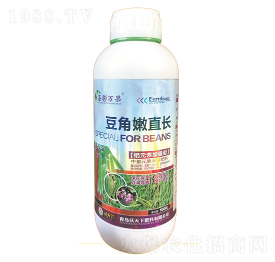 ������ֱ�L(zh��ng)-ʥ���f��-������