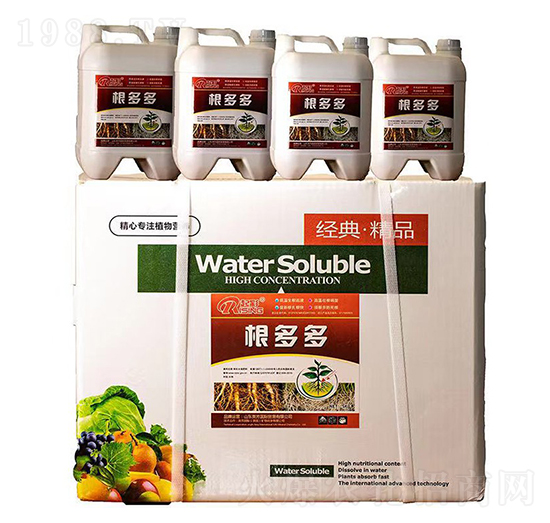 �����-Ӣ��