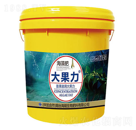 �����-�����-����