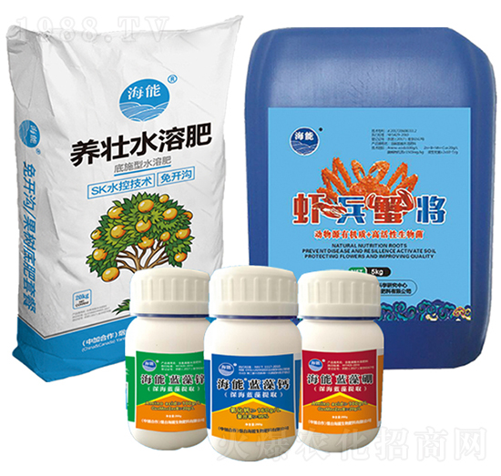 ���_�Ϸ���-����