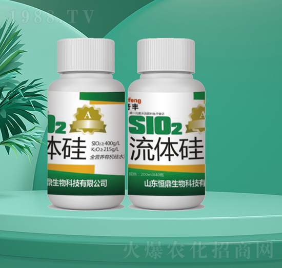 ���w��-�㶦����