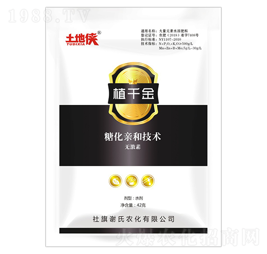 42gֲǧ��-���؂b-�x���r��