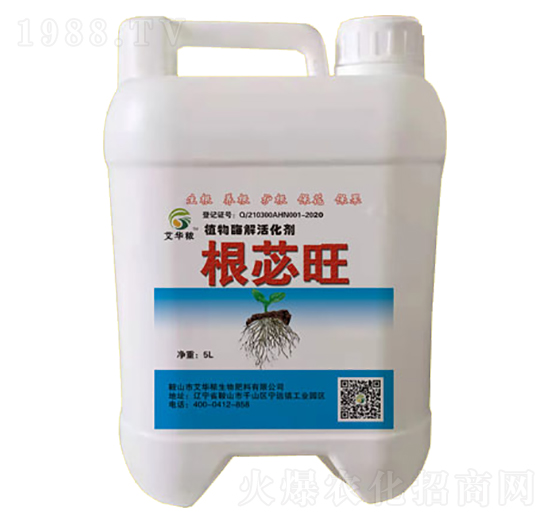 ֲ��ø����-��ƃ��-���A��