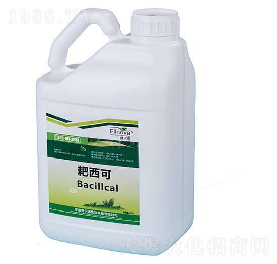 ����΢�������Ƅ�-������-�M���Z