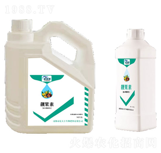 �n����Ԫ��-�|���S