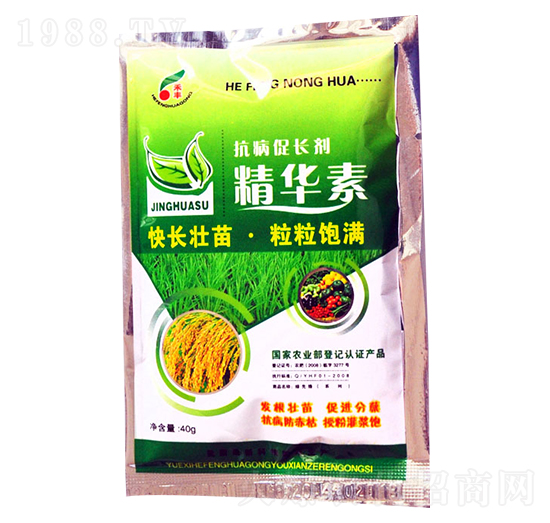 �������L(zh��ng)�����A��-���S