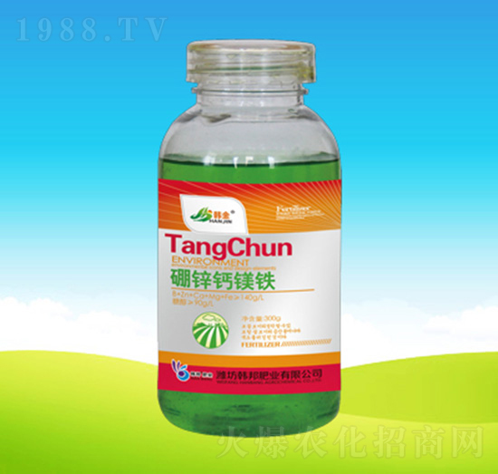 ƿ�b���\�}�V�F-�n��ʘI(y��)